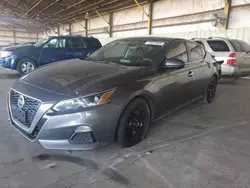 Salvage cars for sale at Phoenix, AZ auction: 2020 Nissan Altima S