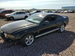 Vehiculos salvage en venta de Copart Phoenix, AZ: 2007 Ford Mustang