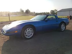 Salvage cars for sale at Columbia Station, OH auction: 1992 Chevrolet Corvette