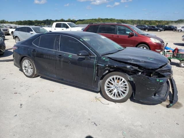 2019 Toyota Camry Hybrid