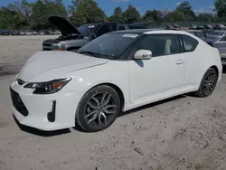 Salvage cars for sale at Madisonville, TN auction: 2014 Scion TC