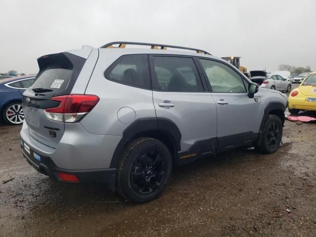 2023 Subaru Forester Wilderness