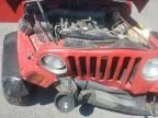 1997 Jeep Wrangler / TJ Sport