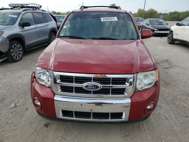 2010 Ford Escape Limited