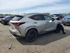 2024 Lexus NX 350 Luxury