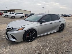 Salvage cars for sale at Temple, TX auction: 2019 Toyota Camry XSE