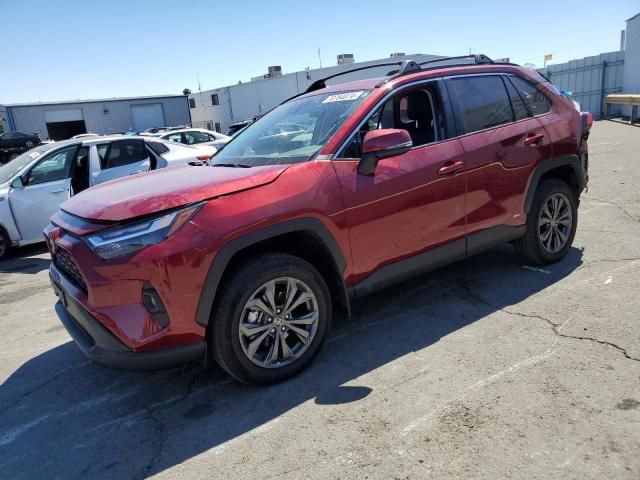 2024 Toyota Rav4 XLE Premium