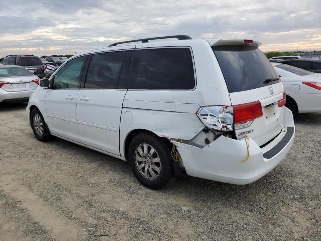 2008 Honda Odyssey EXL