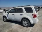 2008 Ford Escape XLS