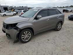 Salvage cars for sale at Harleyville, SC auction: 2013 KIA Sorento SX