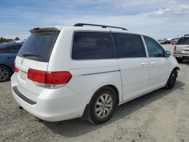 2008 Honda Odyssey EXL