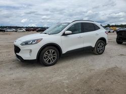 Salvage cars for sale at Houston, TX auction: 2021 Ford Escape SEL