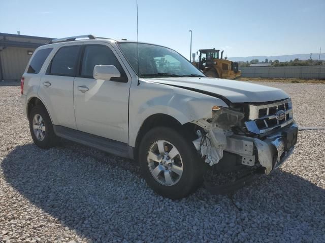 2010 Ford Escape Limited