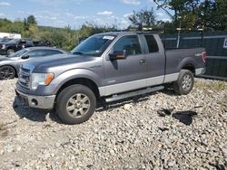 Salvage trucks for sale at Candia, NH auction: 2013 Ford F150 Super Cab