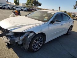 Lexus es300 salvage cars for sale: 2019 Lexus ES 300H