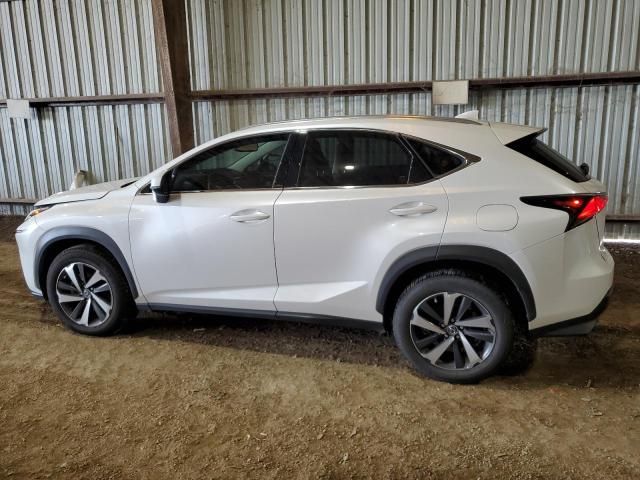 2021 Lexus NX 300 Base