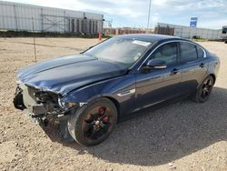 Salvage cars for sale at Rapid City, SD auction: 2018 Jaguar XE