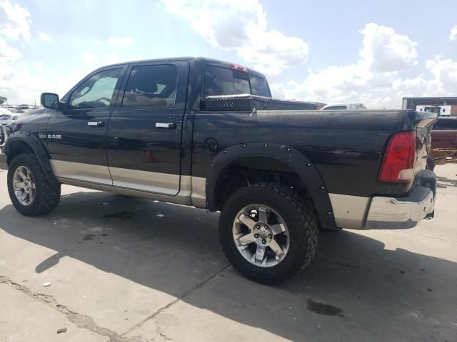 2010 Dodge RAM 1500