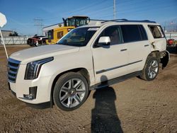 Salvage cars for sale from Copart Bismarck, ND: 2015 Cadillac Escalade Luxury