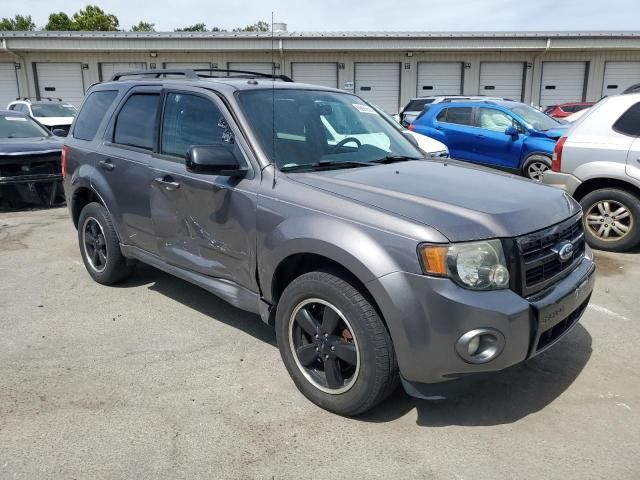 2012 Ford Escape XLT