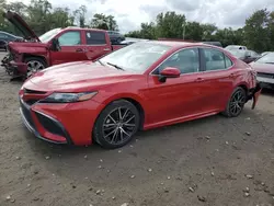 Toyota salvage cars for sale: 2021 Toyota Camry SE