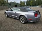 2006 Ford Mustang GT