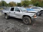 2001 Dodge Dakota Quattro