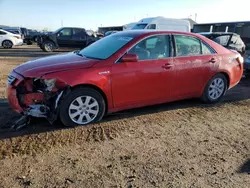 Toyota Vehiculos salvage en venta: 2008 Toyota Camry Hybrid