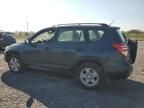 2010 Toyota RAV 4