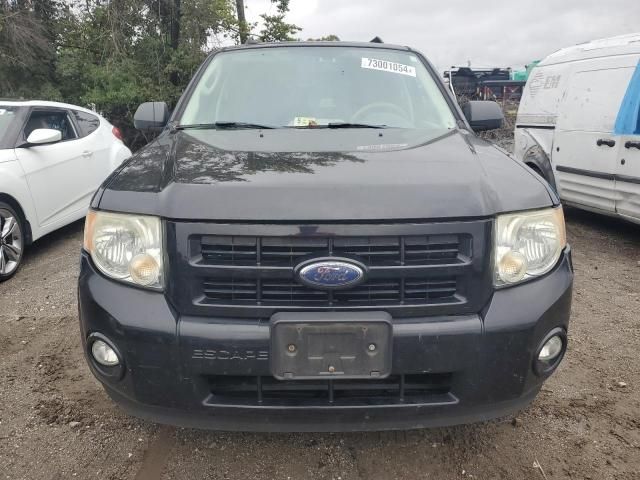 2009 Ford Escape Hybrid