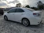 2010 Lexus HS 250H