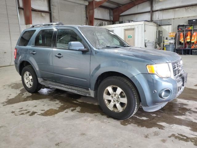 2011 Ford Escape Limited