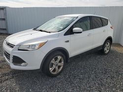 Salvage cars for sale at Riverview, FL auction: 2016 Ford Escape SE