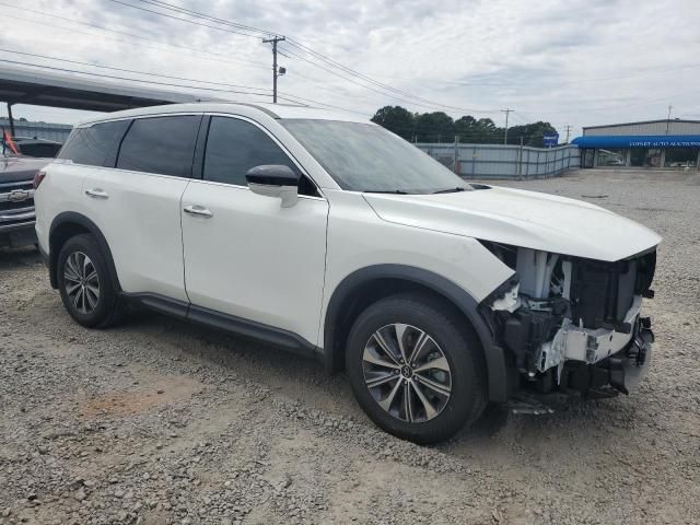 2023 Infiniti QX60 Pure