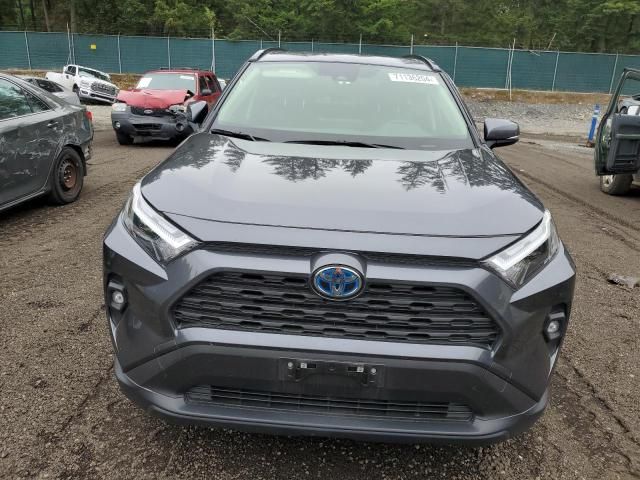 2023 Toyota Rav4 XLE Premium