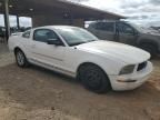 2005 Ford Mustang