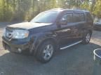 2010 Honda Pilot EXL