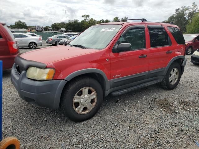 2001 Ford Escape XLT