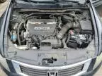 2008 Honda Accord EX