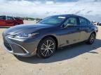 2023 Lexus ES 350 Base