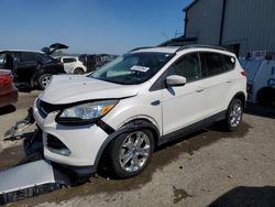 Salvage cars for sale at Memphis, TN auction: 2016 Ford Escape SE