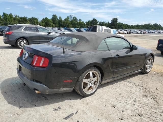 2010 Ford Mustang