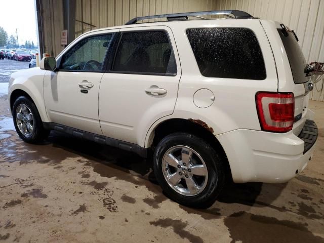 2011 Ford Escape Limited