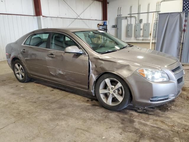 2011 Chevrolet Malibu 1LT