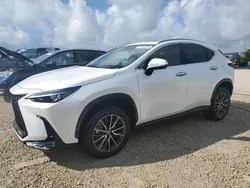 Flood-damaged cars for sale at auction: 2023 Lexus NX 250