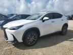 2023 Lexus NX 250