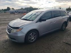 Honda salvage cars for sale: 2012 Honda Odyssey EXL