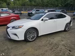 2020 Lexus ES 350 en venta en Waldorf, MD