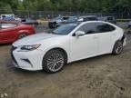 2020 Lexus ES 350