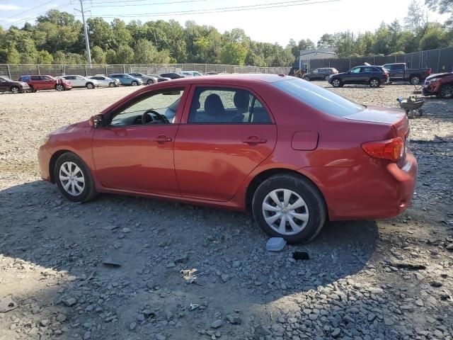 2010 Toyota Corolla Base